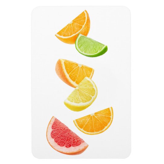 Fallende Zitrusscheiben Magnet (Vertikal)