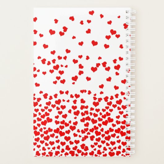 Fallender Tagesetat Planer (Rückseite)