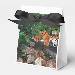 Fallender Tiger Geschenkschachtel