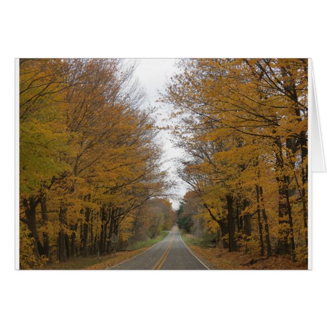 Fallfarbe auf Straßen um Pine See (Vorderseite (Horizontal))