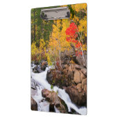 Fallfarbe entlang Bischofs-Nebenfluss, CA Klemmbrett (Links)