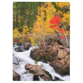 Fallfarbe entlang Bischofs-Nebenfluss, CA Klemmbrett (Rückseite)