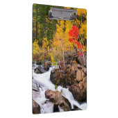 Fallfarbe entlang Bischofs-Nebenfluss, CA Klemmbrett (Rechts)