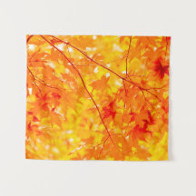 Fallfolien Bäume Natur KLEIN