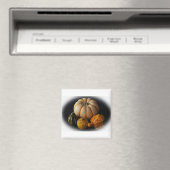 Fallgürtel und Kürbis Magnet (In Situ (Geschirrspüler))