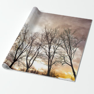 Fallherbstbäume am Sonnenuntergang Geschenkpapier