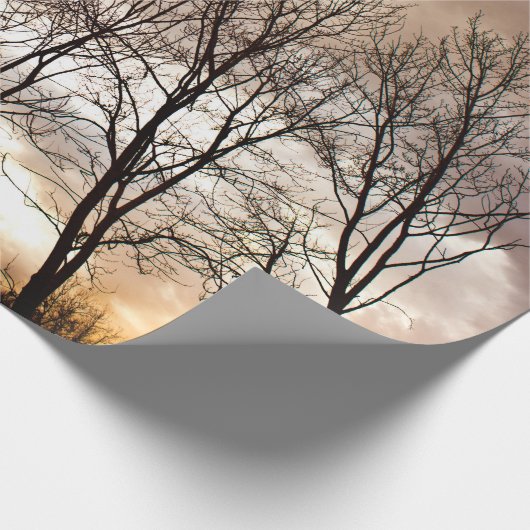 Fallherbstbäume am Sonnenuntergang Geschenkpapier (Ecke)