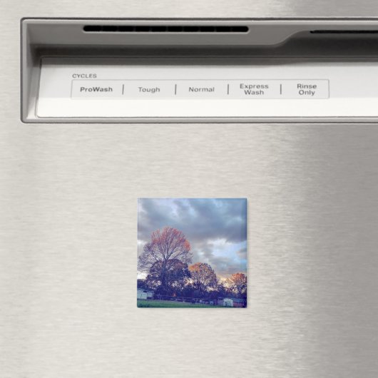 Fallin' in Liebe Magnet (In Situ (Geschirrspüler))