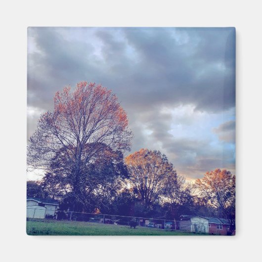 Fallin' in Liebe Magnet (Vorne)