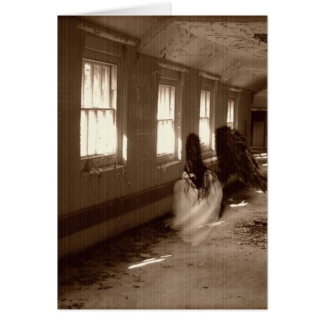 Falling Asylum Angel (Vorne)