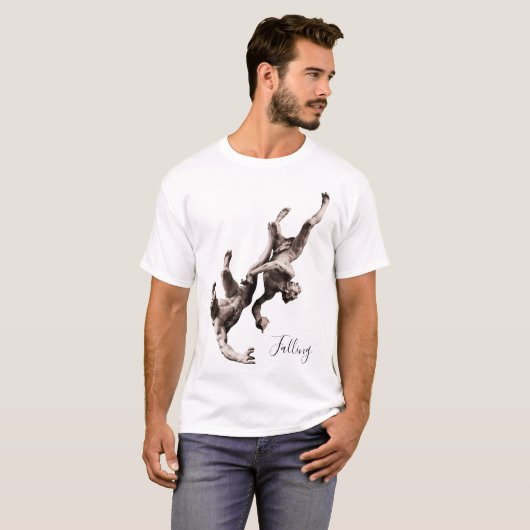 Falling (Begriffsklärung) T-Shirt (Vorne ganz)