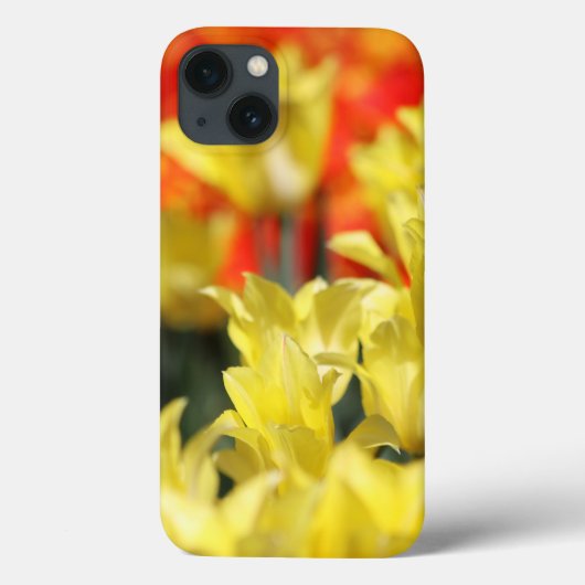 Falling Floral Summer Glow Case-Mate iPhone Hülle (Rückseite)