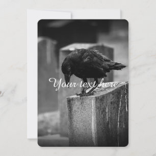 Falling Friedhof Crow