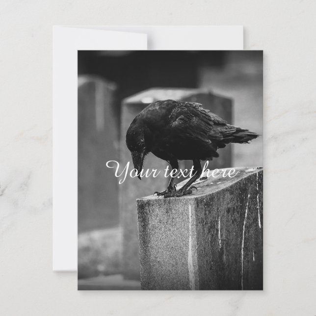 Falling Friedhof Crow (Vorderseite)
