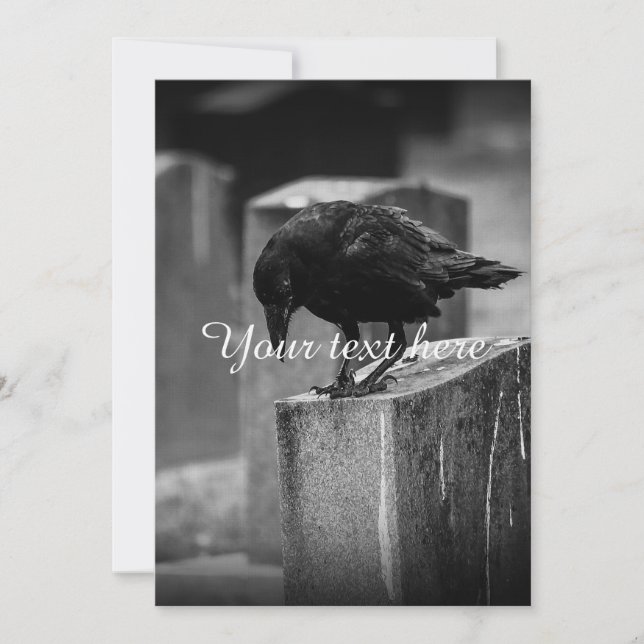 Falling Friedhof Crow (Vorderseite)