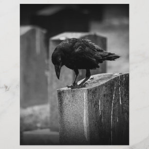 Falling Friedhof Crow