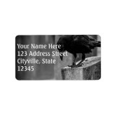 Falling Friedhof Crow Adressaufkleber (Vorne)