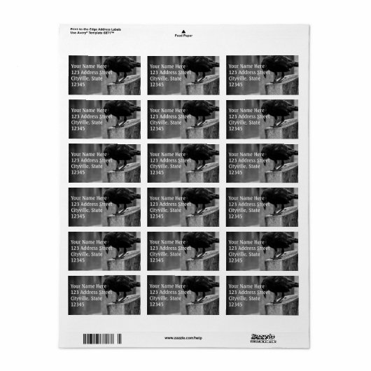 Falling Friedhof Crow Adressaufkleber (Vorne)