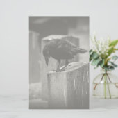 Falling Friedhof Crow Briefpapier (Stehend Vorderseite)