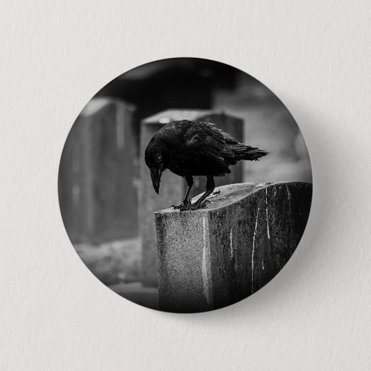 Falling Friedhof Crow Button (Vorderseite)