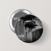 Falling Friedhof Crow Button (Vorne & Hinten)