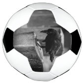 Falling Friedhof Crow Fußball (Gedreht)