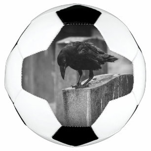 Falling Friedhof Crow Fußball