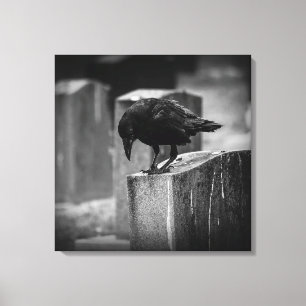 Falling Friedhof Crow Leinwanddruck