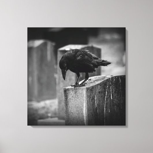 Falling Friedhof Crow Leinwanddruck (Vorderseite)