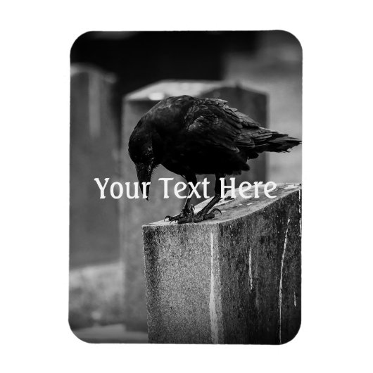 Falling Friedhof Crow Magnet (Vertikal)