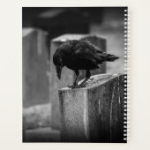 Falling Friedhof Crow Planer (Rückseite)