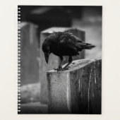 Falling Friedhof Crow Planer (Vorderseite)