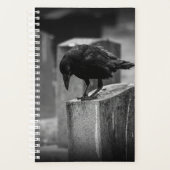 Falling Friedhof Crow Planer (Vorderseite)