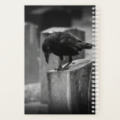 Falling Friedhof Crow Planer (Rückseite)