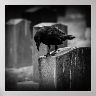 Falling Friedhof Crow Poster