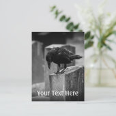 Falling Friedhof Crow Postkarte (Stehend Vorderseite)
