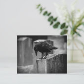 Falling Friedhof Crow Postkarte (Stehend Vorderseite)