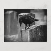 Falling Friedhof Crow Postkarte (Vorderseite)