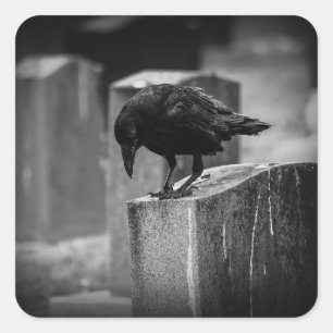 Falling Friedhof Crow Quadratischer Aufkleber