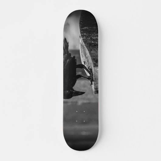 Falling Friedhof Crow Skateboard (Vorne)
