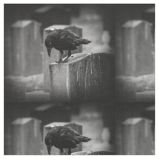 Falling Friedhof Crow Stoff (Nahaufnahme)