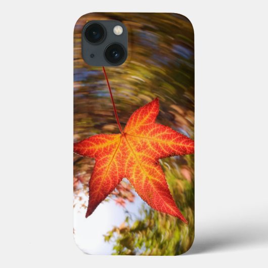 Falling Leaf from a tree in autumn Case-Mate iPhone Hülle (Rückseite)