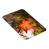 Falling Leaf from a tree in autumn Magnet (Rechte Seite)