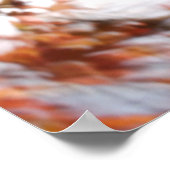 Falling Leaf from a tree in autumn Poster (Ecke)