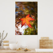 Falling Leaf from a tree in autumn Poster (Küche)