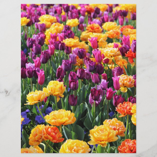 Falling Sunset Floral River (Vorderseite)