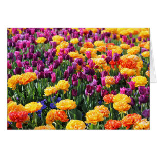 Falling Sunset Floral River