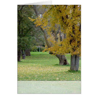 Fallkarte