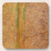 Fallleaf 11 getränkeuntersetzer (Vorderseite)