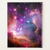 Falln Angelic Galaxy Planer (Rückseite)